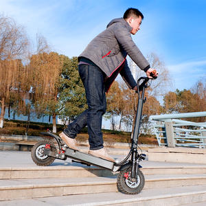 胜利强力电动滑板车成人1000w * 2大轮越野可折叠越野双电机电动摩托