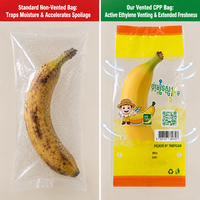 Nouvel Arrivage Vente Directe Sac Plat en CPP Emballé Individuellement Portable Réduit les Dommages pour l'Emballage Premium des Bananes