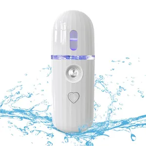 Beauty Electric Device Handy Steamer Vaporizer Face Water Replenishment Cold Design Private Label Steaming Facial Mist Sprayer