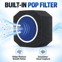 Écran d'isolation acoustique pour microphone PE4, filtre anti-bruit en mousse acoustique pour enregistrement en studio et podcast