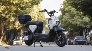สกู๊ตเตอร์ไฟฟ้าแบบสองล้อทรงตัวอัตโนมัติรุ่นใหม่ 1000 วัตต์ - Product Image 5