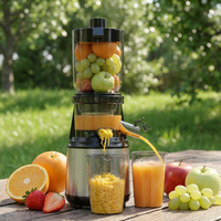 Extracteur de jus de fruits personnalisé, presse-agrumes à froid à mastication lente avec une large goulotte d'alimentation, récipient en Tritan sans BPA