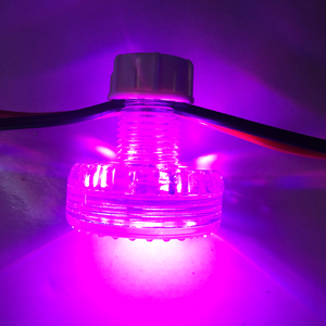 Camaleón cabujón RGB LED Pixel Light SMD3535 blanco cálido IP65 para Parque de Atracciones 45mm PC cuerpo plástico información - Product Image 6