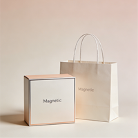 Emballage magnétique personnalisé en usine pour cosmétiques, vêtements, boîte en papier enduit, sac en papier facile à plier, boîte cadeau
