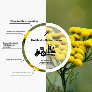 <span class=keywords><strong>Huile</strong></span> <span class=keywords><strong>essentielle</strong></span> distillée biologique de haute qualité Aromathérapie Soins de la peau Matière première Vente en gros <span class=keywords><strong>Huile</strong></span> <span class=keywords><strong>essentielle</strong></span> de <span class=keywords><strong>tanaisie</strong></span> bleue marocaine - Product Image 5