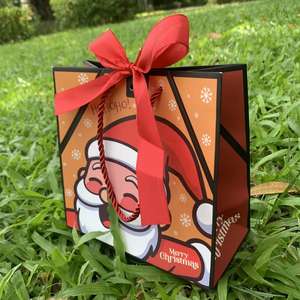 Bolsas de Compra de Papel Resistente Reutilizables, Ecológicas, a Prueba de Humedad, Personalizadas al por Mayor, Bolsas de Regalo Cosméticas Elegantes con Laminación de Logotipo - Product Image 6