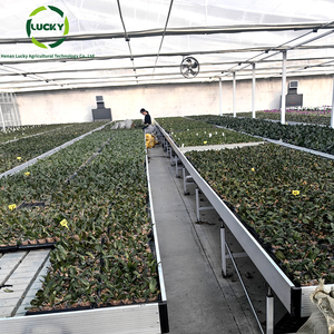 Serra idroponica agricola riflusso tavolo semenzaio vivaio attrezzatura mobile coltivare tavolo - Product Image 4