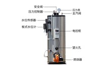 Chaudière à vapeur verticale au gaz Xingyuan LHG 200kg 300kg 500kg 700kg 1000kg pour brassage, blanchisserie et stérilisation