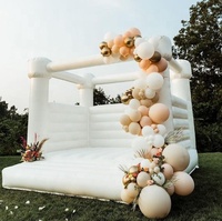 Château de rebond gonflable le plus vendu avec des conceptions personnalisables de ventilateur de trampoline pour des enfants et des adultes sautant l'amusement