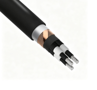 Câble d'alimentation moyenne tension Zhongkai AXLJ-F 1*95/25mm² 12/20(24)kV en aluminium avec gaine XLPE PE, 500m, installation fixe en extérieur