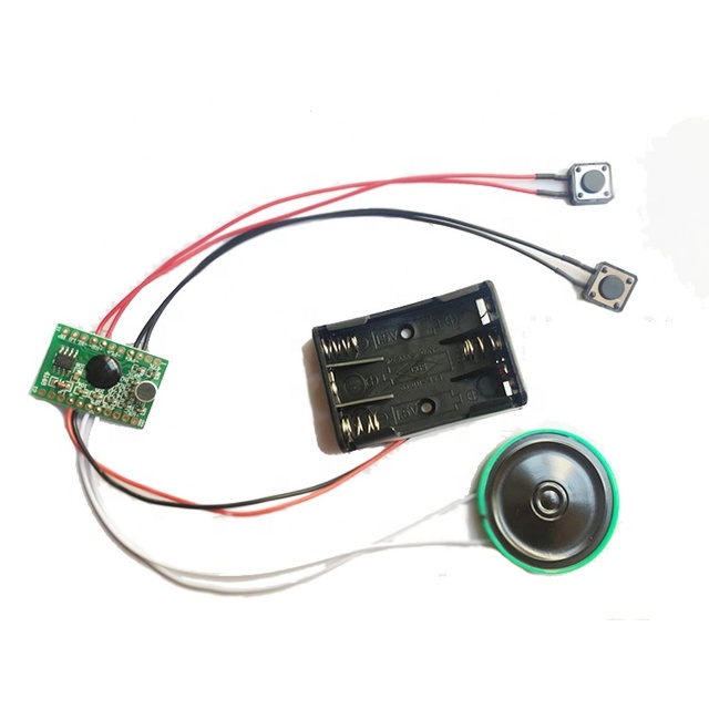 Taidacent Toy Dedicated Recording Module Programmable Voice IC 60 Seconds Voice Recording Chip IC