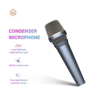 Just for you Low Noise Handheld Condenser Professional Vocal Microphone for Studio Recording and Live Performances