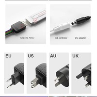 5m 12v Smart Led Strip Light 5050 RGB 24key Télécommande Smart Room Smart Lights Kit Dream Color LED Strip pour la décoration