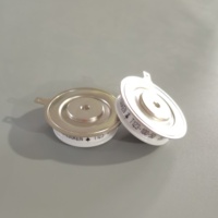 T123-100-50 100A 5000V Thyristor SCR Tegangan Tinggi Semikonduktor Daya Tinggi untuk Kontrol Daya Industri