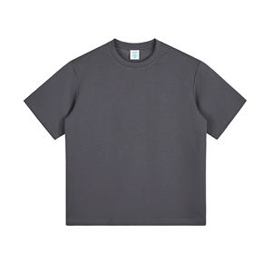 Camiseta de temperatura inspirada en la marca 230gsm, algodón elástico, ajuste regular - Product Image 1