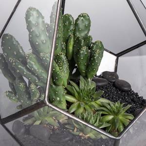 Accessori per terrario in acrilico appesi in vetro geometrico con latta sigillata a goccia per rettili - Product Image 5