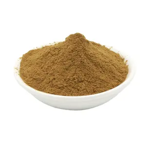 Sciencarin Supply Holy basil extract powder 10:1 High quality Ocimum sanctum extract