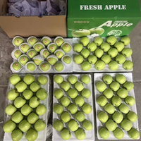 Graines de lotus fraîches du Vietnam, achat en gros, prix compétitifs, exportation en gros, produit agricole