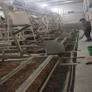 Endüstriyel a-tipi otomatik tavuk kümesi ev büyük katmanlı Broiler tavşan kafesi tavuklar döşeme için ucuz yeni durum çiftlik kaynağı - Product Image 5