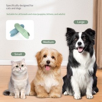 Brosse à dents pour animaux de compagnie en silicone, gel antibactérien et anti-inflammatoire pour chats et chiens, soins dentaires