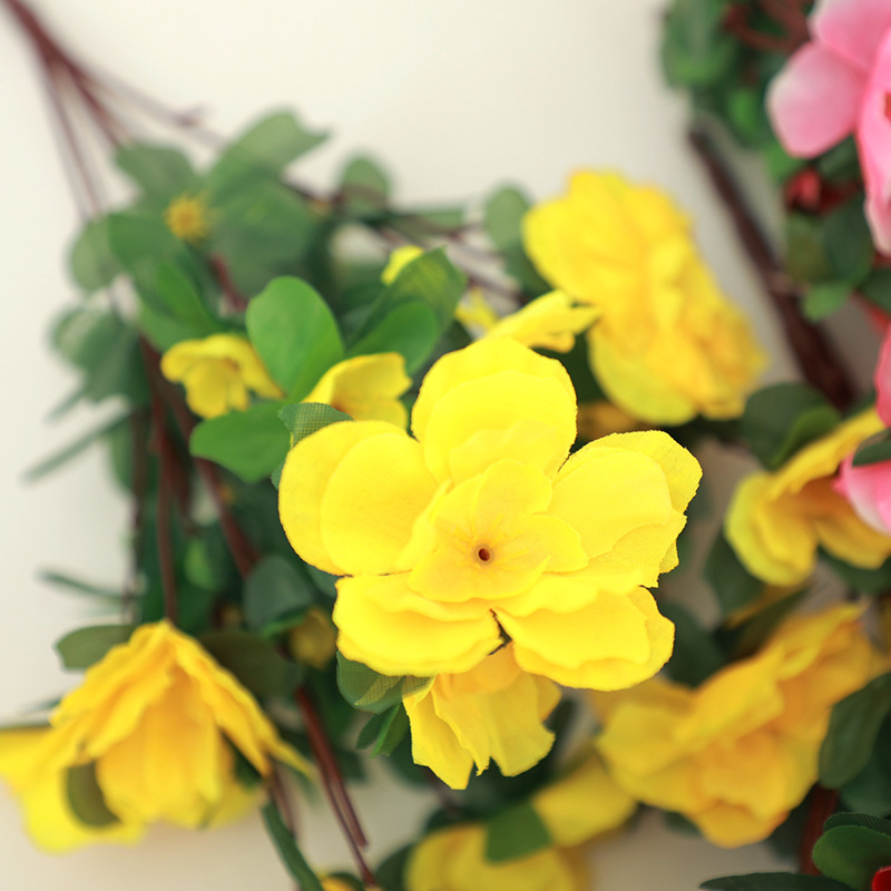 21 Couleurs de pollen