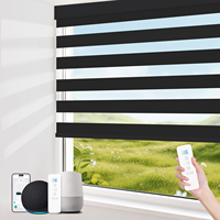 Haute qualité Tuya Google WIFI télécommande stores de fenêtre électriques jour nuit stores zébrés motorisés pour Windows