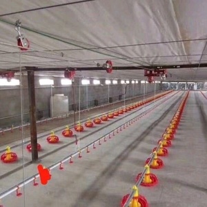 Thiết Bị Cho Gà Thiết Bị Cho Gà Thịt Tự Động Dây Chuyền Cho Ăn Chảo Gia Cầm Tự Động Hệ Thống Dây Chuyền Cho Gia Cầm Ăn - Product Image 6