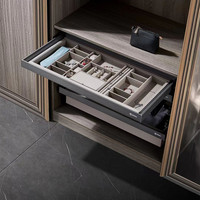 Accessoires de quincaillerie pour armoire, organisateurs coulissants pour bijoux, tiroir réglable avec fermeture amortie