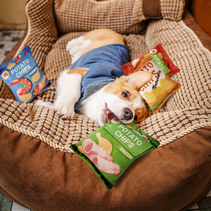 Offre Spéciale animaux de compagnie divertissement croustilles oreiller en peluche simulé <span class=keywords><strong>chat</strong></span> pain interactif chien jouet à mâcher chien jouets grinçants avec son - Product Image 6