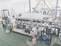 Máquina de coextrusión multicapa de láminas de HDPE de un solo tornillo Leader New con bomba, rodamiento, motor, caja de cambios y PLC de alta capacidad