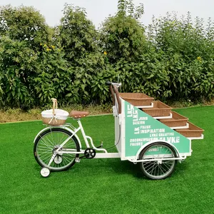 gıda durak ahşap Suppliers-Elektrikli gıda satış arabası gıda aperatif cep bisiklet