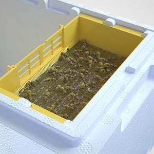Nueva Caja <span class=keywords><strong>de</strong></span> Plástico para la Cría <span class=keywords><strong>de</strong></span> Abejas Reinas y Mini Colmena - Product Image 5