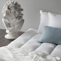 Surmatelas en coton de style hôtel 5 étoiles, épaissi, chaud, respirant, lavable, anti-acariens, antibactérien, usage hospitalier