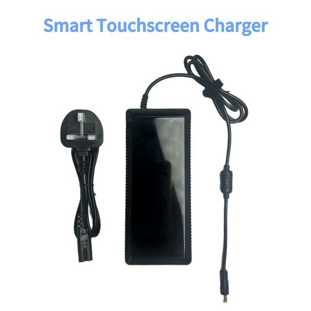 Smart Touchscreen Charger 67.2V 1.75A for Electric Bike Battery Oem Ebike Charger Lithium Ion Chargers & Adapters