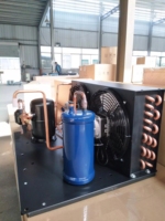 Unité de condensation de réfrigération Retek pour intérieur, 1/4 HP, R404A, basse température, LBP, 115V, 60HZ, pour refroidissement de bière, congélateur, réfrigérateur