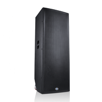 Système de Haut-Parleurs DJ Double Woofer 15 Pouces en Bois MDF avec Amplificateurs et Microphone Sans Fil UHF pour Équipement Sonore de Scène