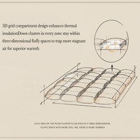 Couette en duvet de canard blanc pour hôtel, vente en gros, simple, 700g, insert de couette, hiver, moelleuse, chaude, anti-duvet, hypoallergénique, fabrication OEM ODM