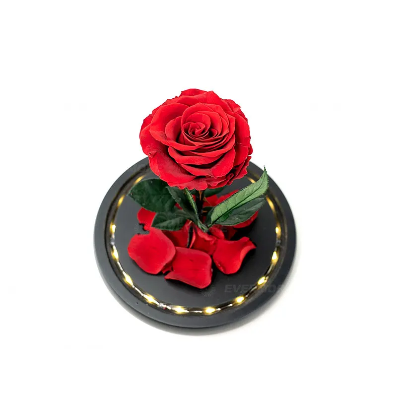 High Quality Valentines Day Gift Long Lasting Romantic Flower Beauty And Beast Preserved Rose In Glass Dome