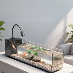 <span class=keywords><strong>Aquarium</strong></span> rectangulaire de 60 cm en verre ultra-blanc, design moderne, table basse, <span class=keywords><strong>aquarium</strong></span>, filtre, vente en gros d'usine - Product Image 2