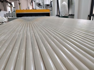 Rivoluzionando la Produzione di Barre in PEEK: La Nostra Nuova Linea di Estrusione a 58 Cavità - Product Image 2