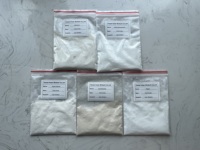 Fabriek Direct 100,000-2.400.000u/G Bulk Papaïne Enzympoeder