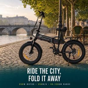 Vélo électrique de ville KOOLUX 250W 48V 13Ah BK10S avec moteur de moyeu arrière pour pneus larges 20*4.0 et accélérateur électronique - Product Image 2