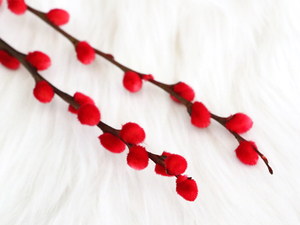 Fornitura di Fabbrica di Fiori di Salice Argentato Preservati per Decorazioni Natalizie, del Ringraziamento e del Capodanno Cinese - Product Image 6