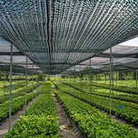 Filet d'ombrage agricole en plastique HDPE avec toile de protection pour abri, toile d'ombrage agricole
