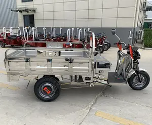 Capacité de chargement maximale 2000kg Tricycle à 3 roues pour camion moto électrique robuste