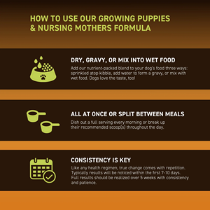 Nutrition naturelle pour chien <span class=keywords><strong>multi</strong></span>-vitamines B 12 E poudre probiotique croissance musculaire squelette supplément mère et chiot - Product Image 3