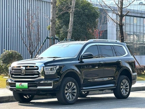 Tank 500 SUV Usato 2023 2024, 7 Posti, <span class=keywords><strong>Auto</strong></span> Usate in <span class=keywords><strong>Vendita</strong></span> - Product Image 1