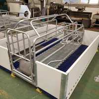 Caisse de mise bas de style européen pour porcheries Stalle chaude en métal pour la gestation des truies Équipement de porcherie à vendre
