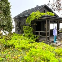 Vigne miniature ultra-fine mate de 2,5 g à l'échelle HO et N pour maquettes ferroviaires, dioramas architecturaux et terrains DIY