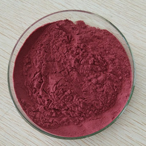 Polvo de extracto de Roselle concentrado de hibisco Soluble en agua Longze - Product Image 4